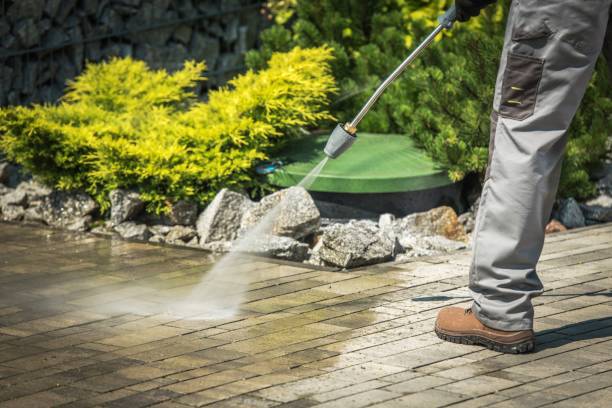 Best Factory Floor Cleaning  in Long Prairie, MN
