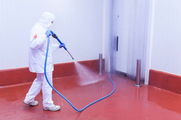 Best Winterizing Services  in Long Prairie, MN