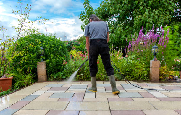 Best Parking Lot and Garage Cleaning  in Long Prairie, MN