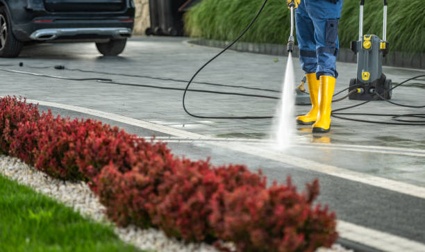 Best Sidewalk and Walkway Cleaning  in Long Prairie, MN
